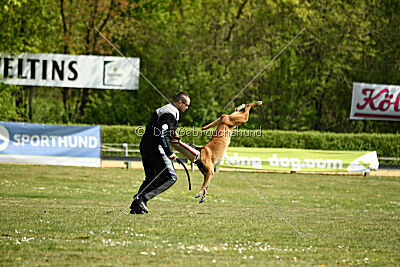 Cheng von Malihatten