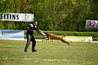 Cheng von Malihatten