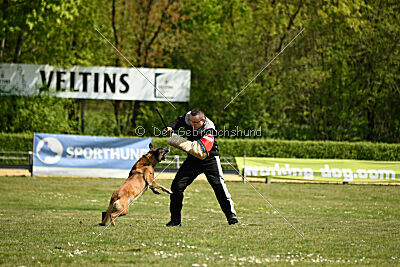 Cheng von Malihatten