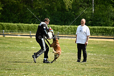 Cheng von Malihatten