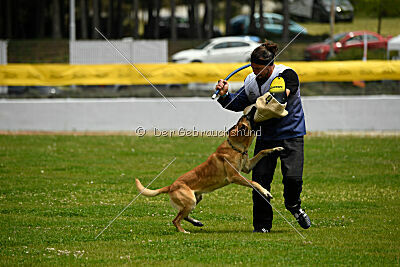 Cherokee vom Esadera
