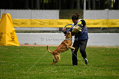 Cherokee vom Esadera