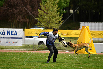 Cherokee vom Esadera