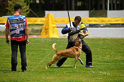 Cherokee vom Esadera