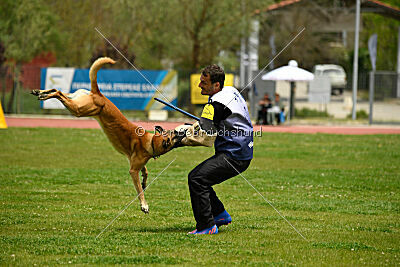 Cherokee vom Esadera