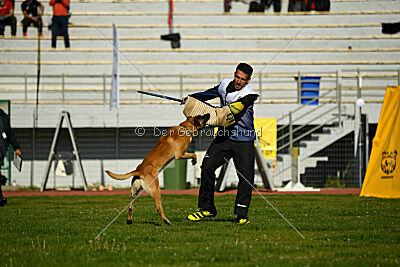 Cherokee vom Esadera