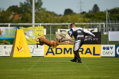 Cherokee vom Esadera