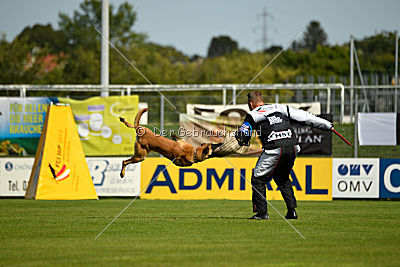 Cherokee vom Esadera