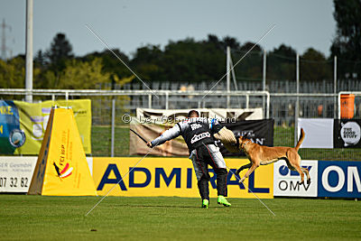 Cherokee vom Esadera