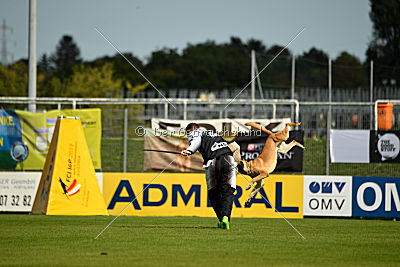 Cherokee vom Esadera