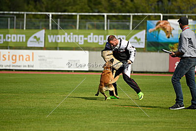 Cherokee vom Esadera