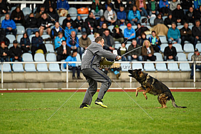 Chicco vom Weinbergblick