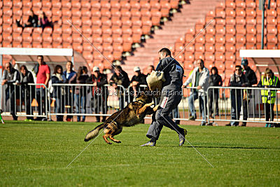 Chicco vom Weinbergblick