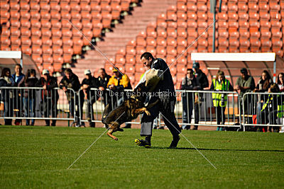 Chicco vom Weinbergblick