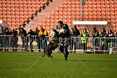 Chicco vom Weinbergblick