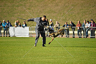 Chicco vom Weinbergblick
