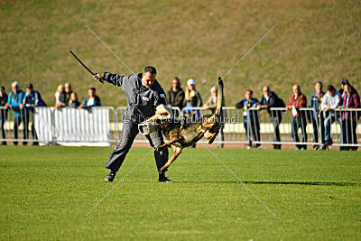 Chicco vom Weinbergblick