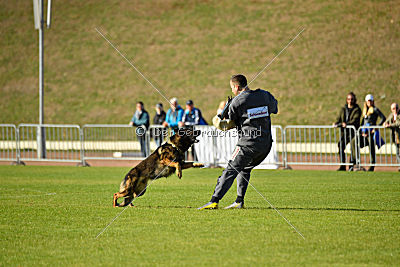 Chicco vom Weinbergblick