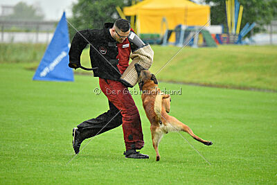 Chiko vom Papenburger Land