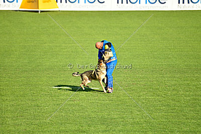 Chili Hause Calligaris