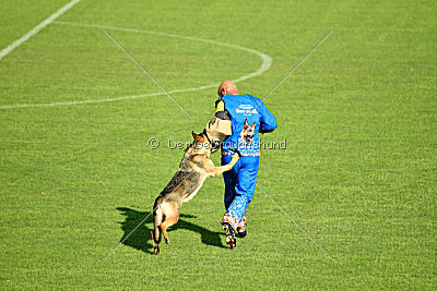 Chili Hause Calligaris