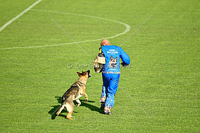 Chili Hause Calligaris