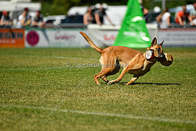 Chilly vom Clan der Wölfe