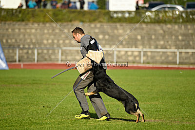 Chira von den Koschis