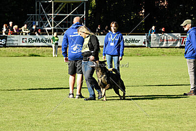 Chitto vom Drachenwolf