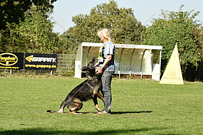 Chitto vom Drachenwolf