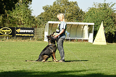 Chitto vom Drachenwolf