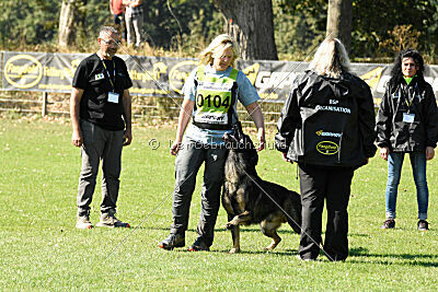 Chitto vom Drachenwolf