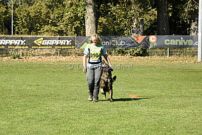 Chitto vom Drachenwolf