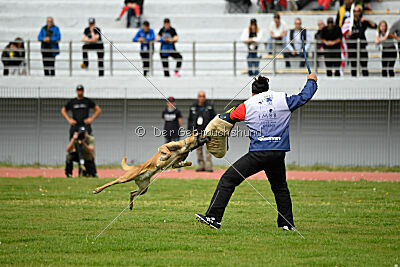 Christie vom Esadera