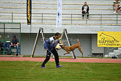 Christie vom Esadera