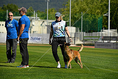 Civan Av Schwarz Engeln