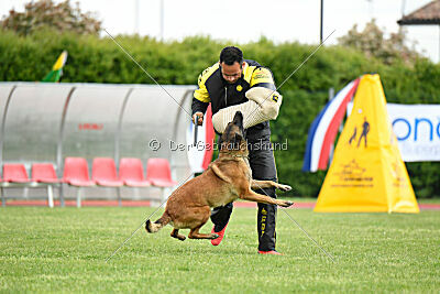 Civan Av Schwarz Engeln