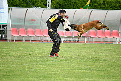 Civan Av Schwarz Engeln