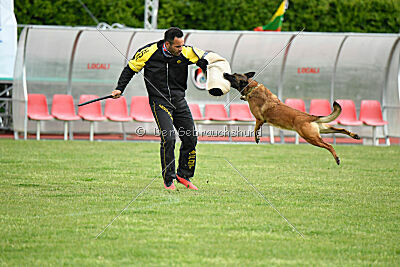 Civan Av Schwarz Engeln