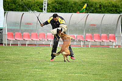 Civan Av Schwarz Engeln