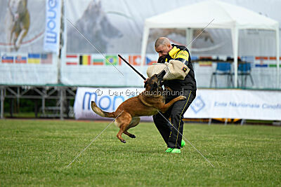 Civan Av Schwarz Engeln