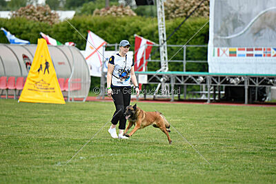 Civan Av Schwarz Engeln