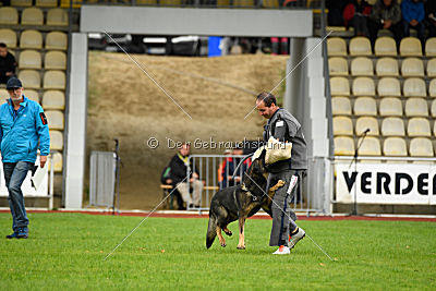 Cliff vom Neuzeller Brunnen
