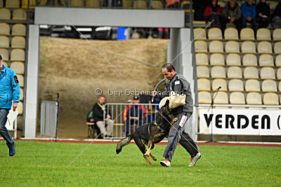 Cliff vom Neuzeller Brunnen