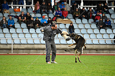 Cliff vom Neuzeller Brunnen