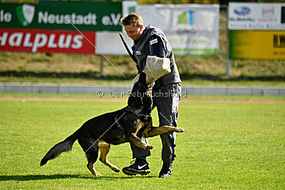 Cliff vom Neuzeller Brunnen