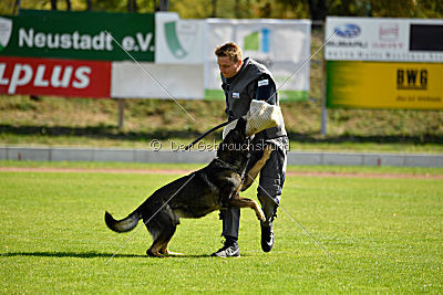 Cliff vom Neuzeller Brunnen