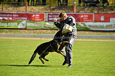 Cliff vom Neuzeller Brunnen