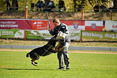 Cliff vom Neuzeller Brunnen