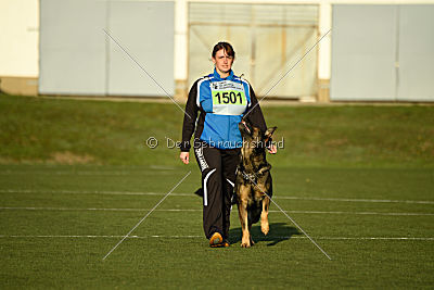 Cliff vom Neuzeller Brunnen